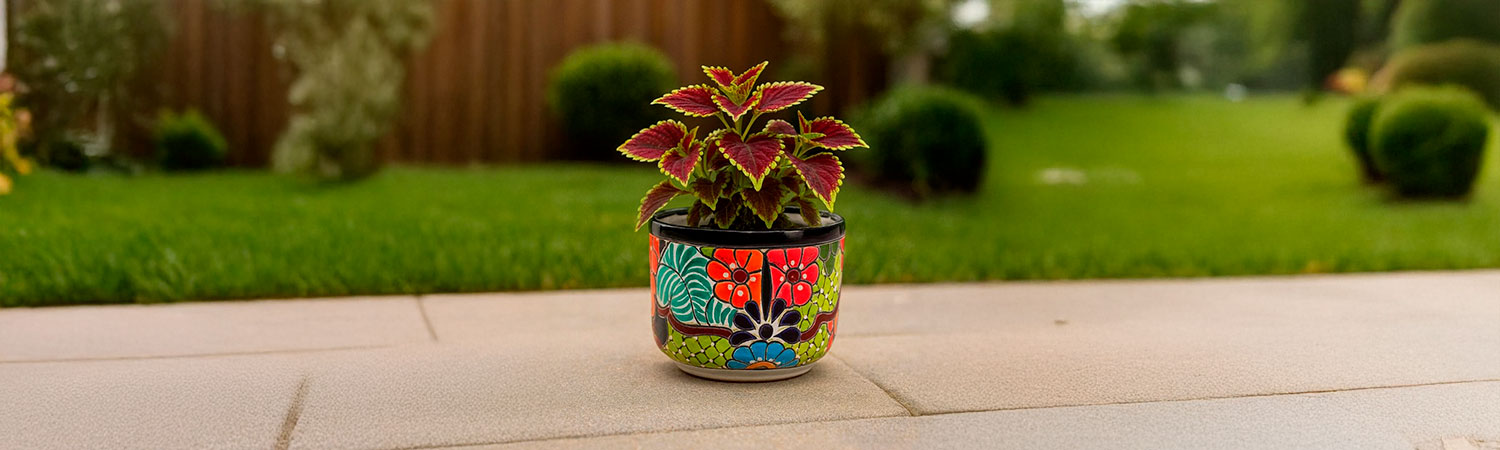 mex-clay-talavera-02