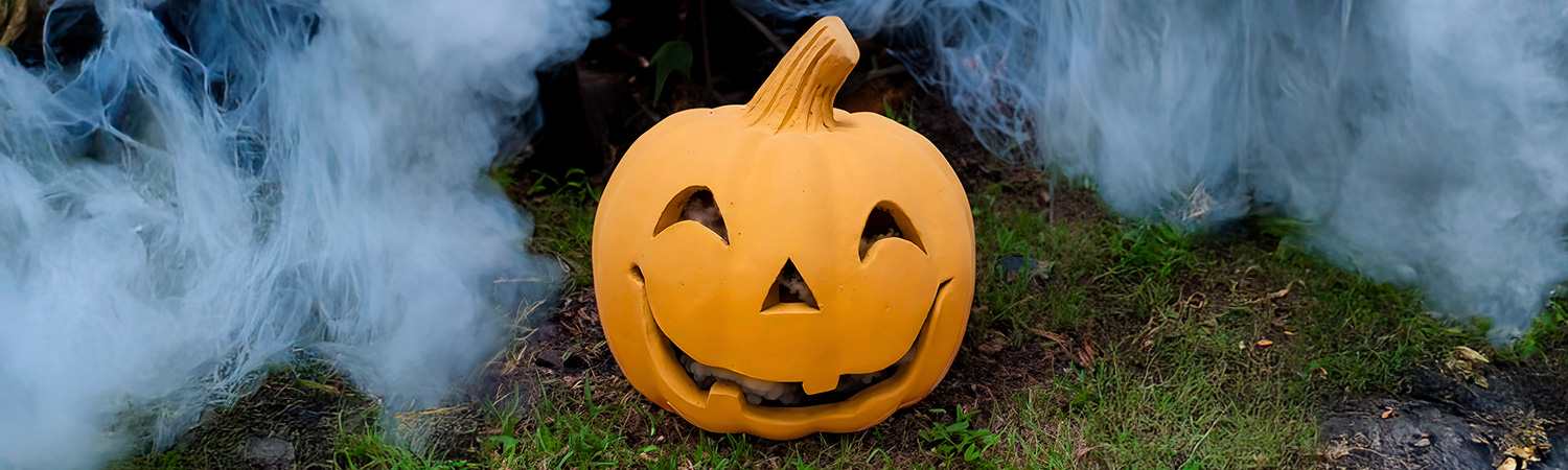 mex-clay-seasonal-04